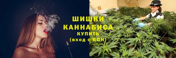 шишки Богданович